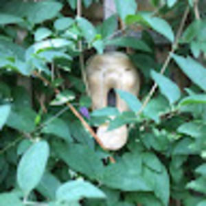 Meet your Posher, Jodie